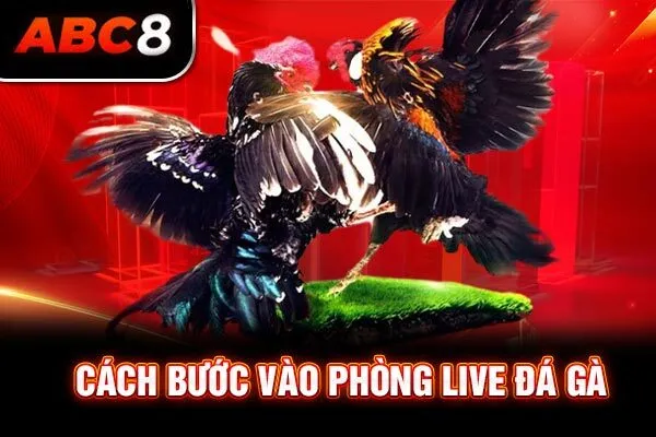 Cách bước vào phòng live đá gà