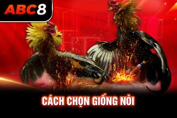 Cách chọn giống nòi