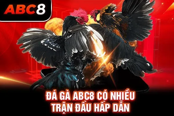 Đá gà ABC8 có nhiều trận đấu hấp dẫn