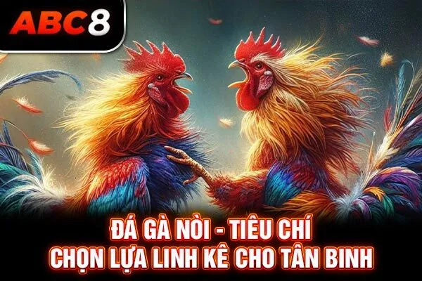 Đá Gà Nòi - Tiêu Chí Chọn Lựa Linh Kê Cho Tân Binh