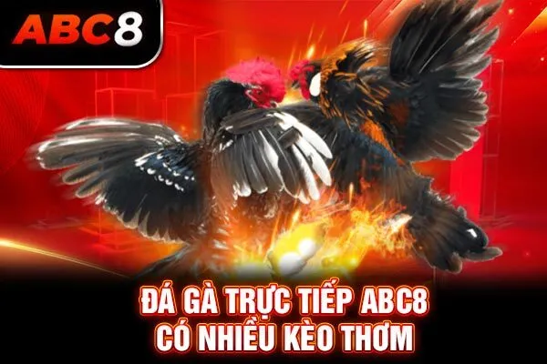 Đá gà trực tiếp ABC8 có nhiều kèo thơm