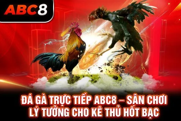 Đá Gà Trực Tiếp ABC8 – Sân Chơi Lý Tưởng Cho Kê Thủ Hốt Bạc