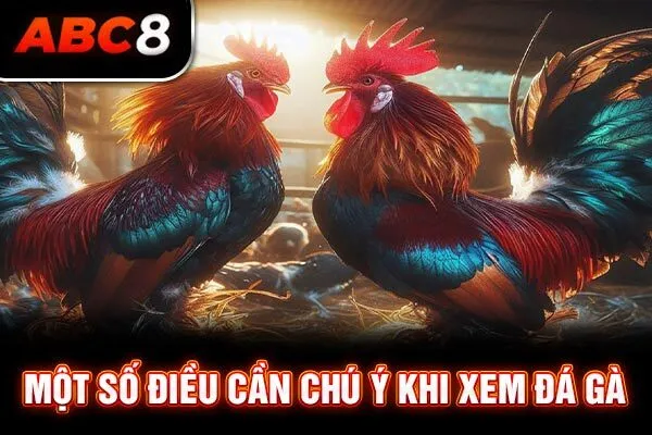 Một số điều cần chú ý khi xem đá gà