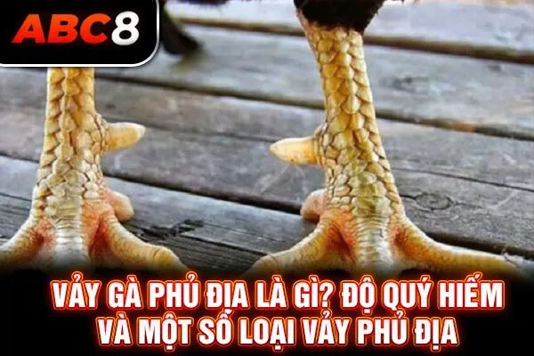 Vảy Gà Phủ Địa Là Gì? Độ Quý Hiếm Và Một Số Loại Vảy Phủ Địa