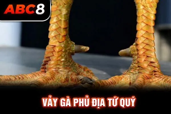 Vảy gà phủ địa tứ quý